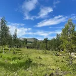 Modern By Hardangervidda * Garden