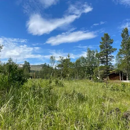 Modern By Hardangervidda Holiday home Garden