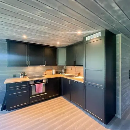 Modern By Hardangervidda Holiday home Garden