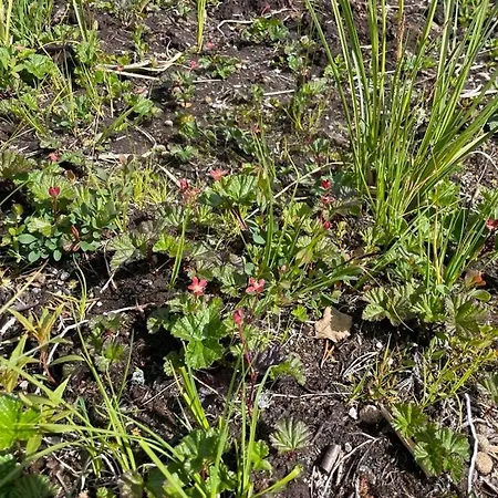 Modern By Hardangervidda Дом отдыха *