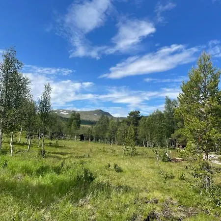 Modern By Hardangervidda * Гарден